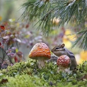 Meet your Posher, Debbie